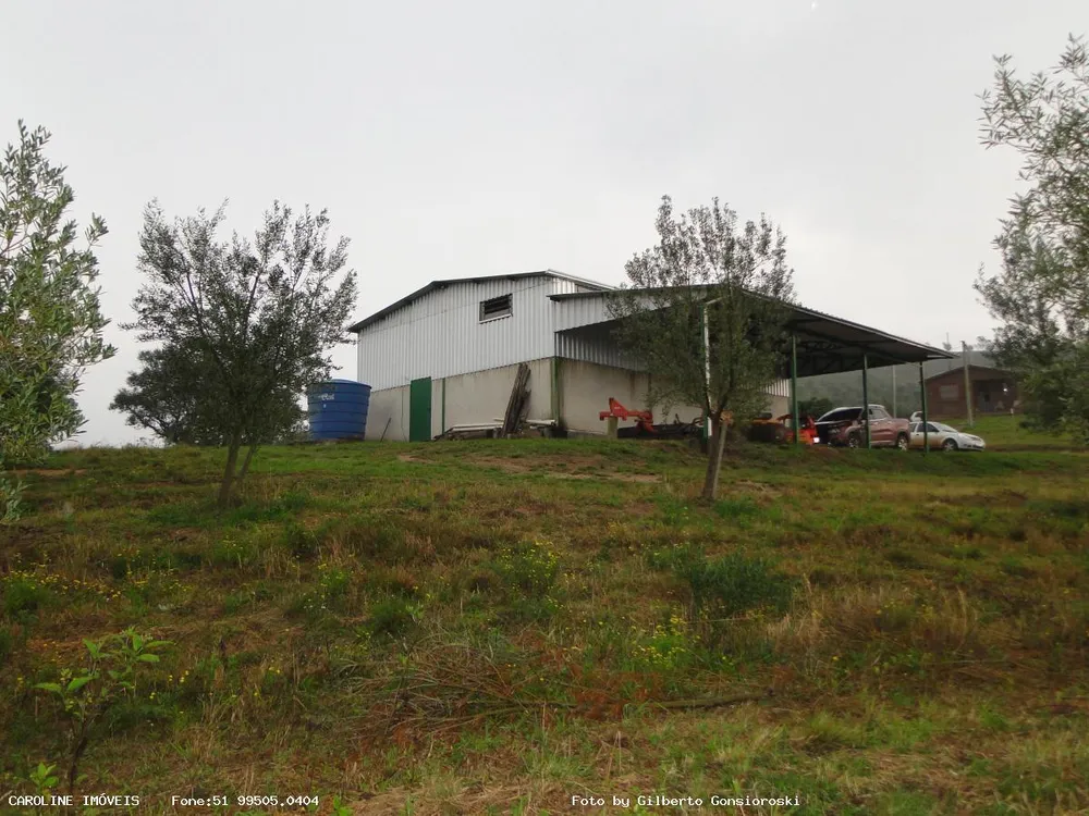 Fazenda, 49 hectares - Foto 1