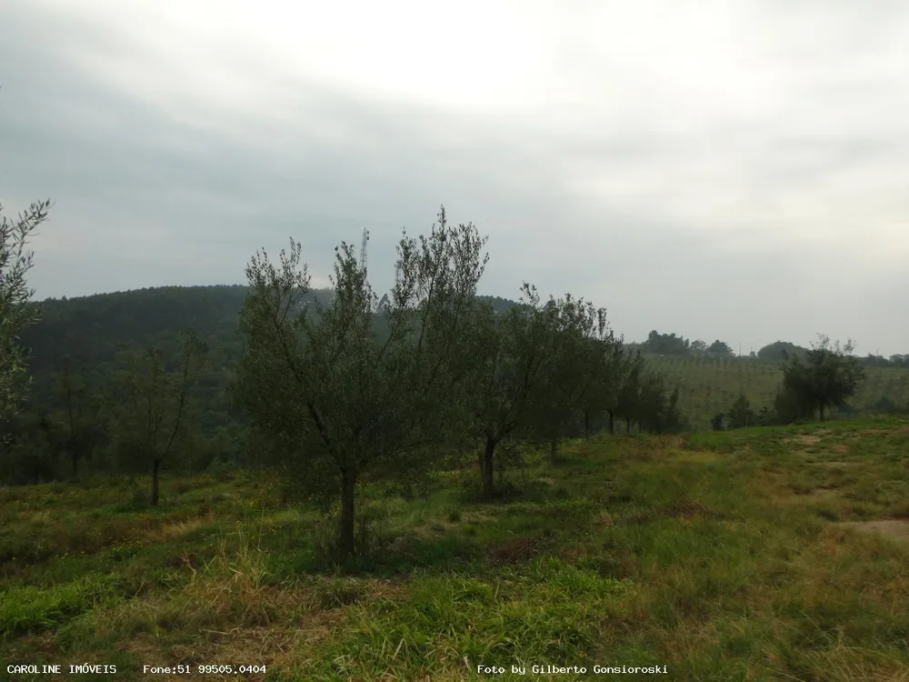 Fazenda, 49 hectares - Foto 6
