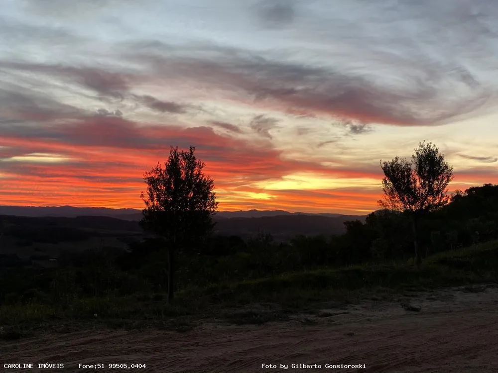 Fazenda, 49 hectares - Foto 3