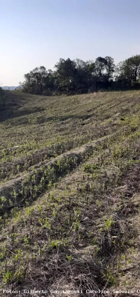 Loteamento e Condomínio à venda, 5m² - Foto 8