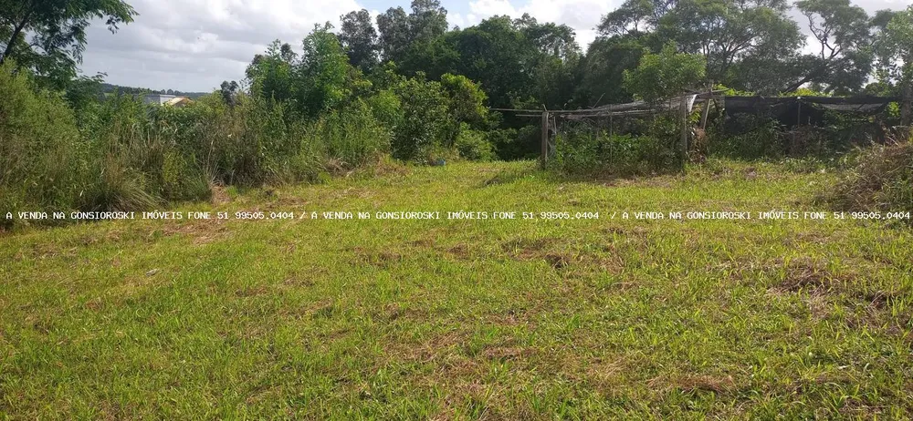 Terreno, 350 m² - Foto 6
