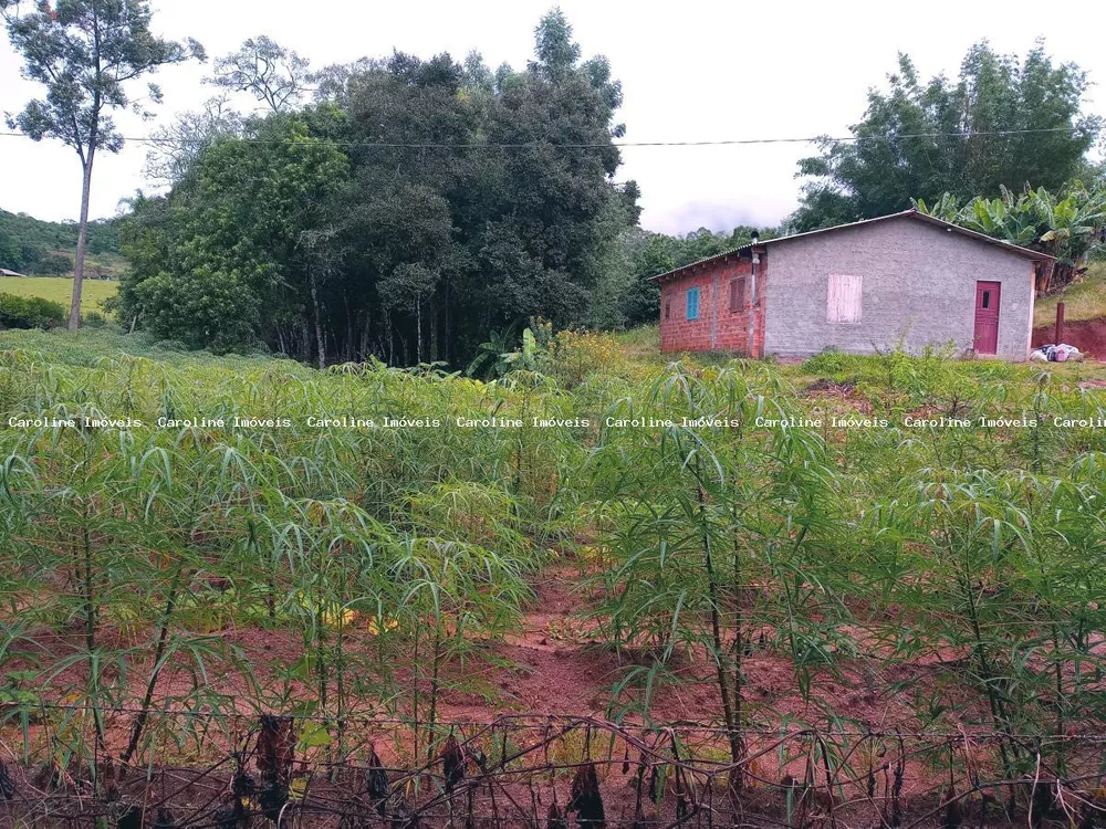 Fazenda à venda com 2 quartos, 13500m² - Foto 5