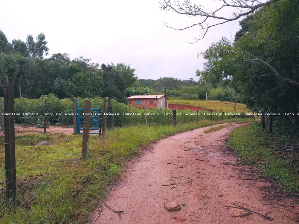 Fazenda à venda com 2 quartos, 13500m² - Foto 8