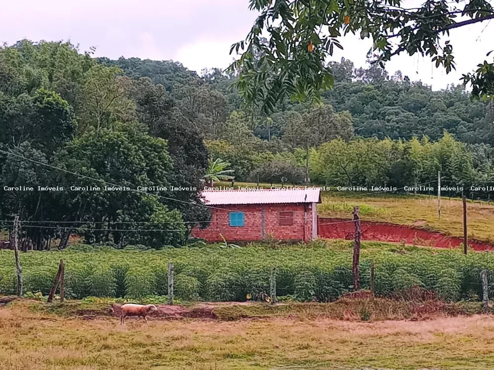 Fazenda à venda com 2 quartos, 13500m² - Foto 3