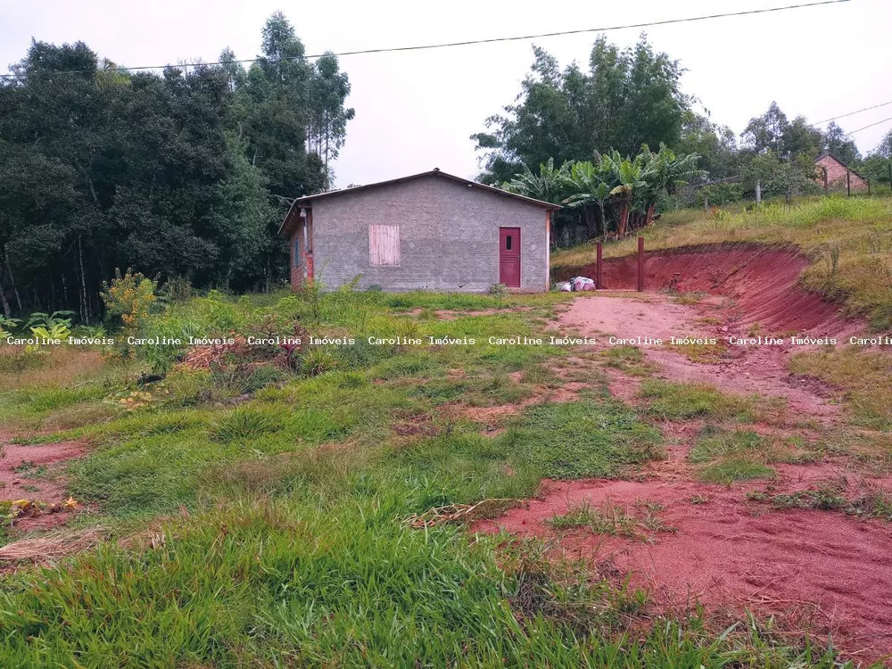 Fazenda à venda com 2 quartos, 13500m² - Foto 2