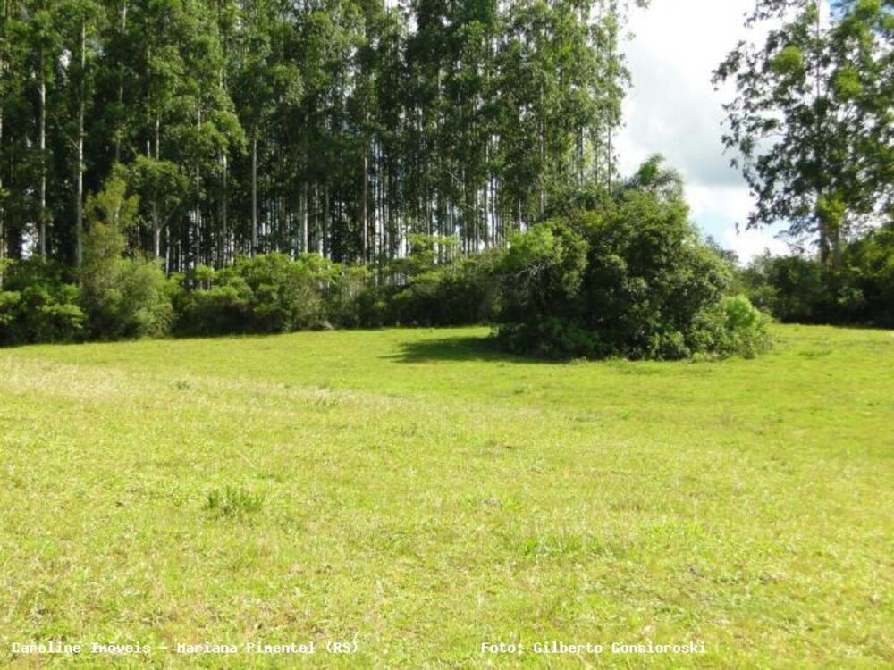 Chácara à venda com 3 quartos, 160000m² - Foto 4