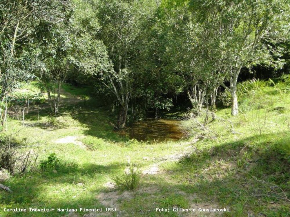 Chácara à venda com 3 quartos, 160000m² - Foto 2