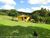 Chácara, 3 quartos, 16 hectares - Foto 1