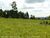 Chácara, 3 quartos, 16 hectares - Foto 3