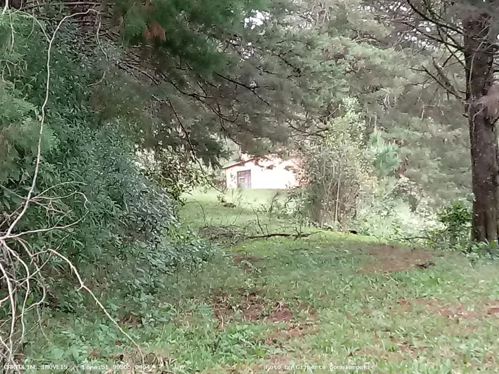 Sítio, 4 quartos, 16 hectares - Foto 4