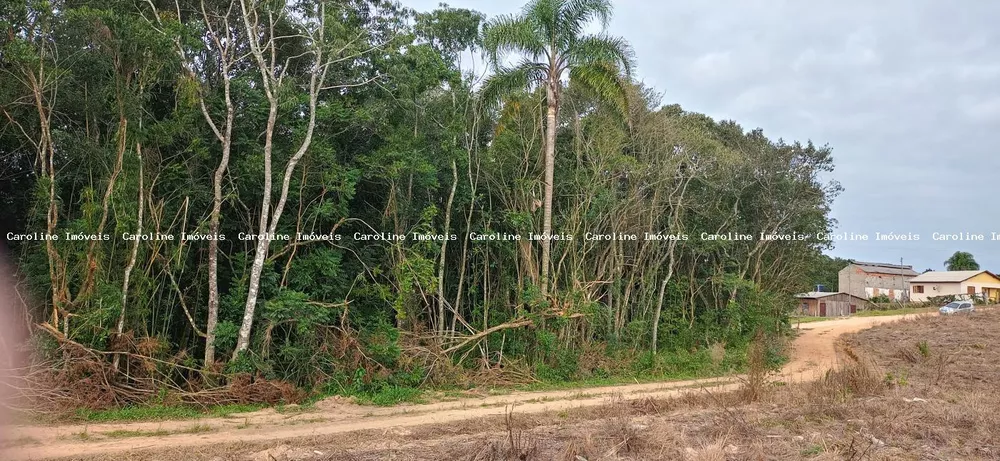 Terreno à venda - Foto 4