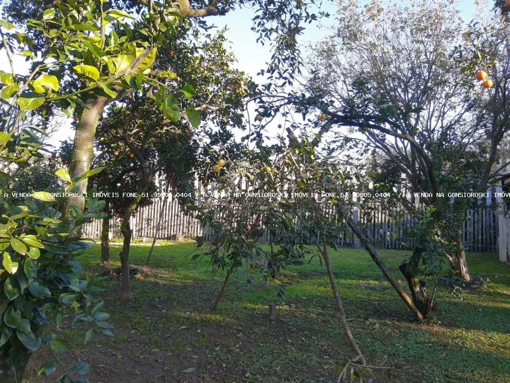 Fazenda à venda com 3 quartos, 1500m² - Foto 6