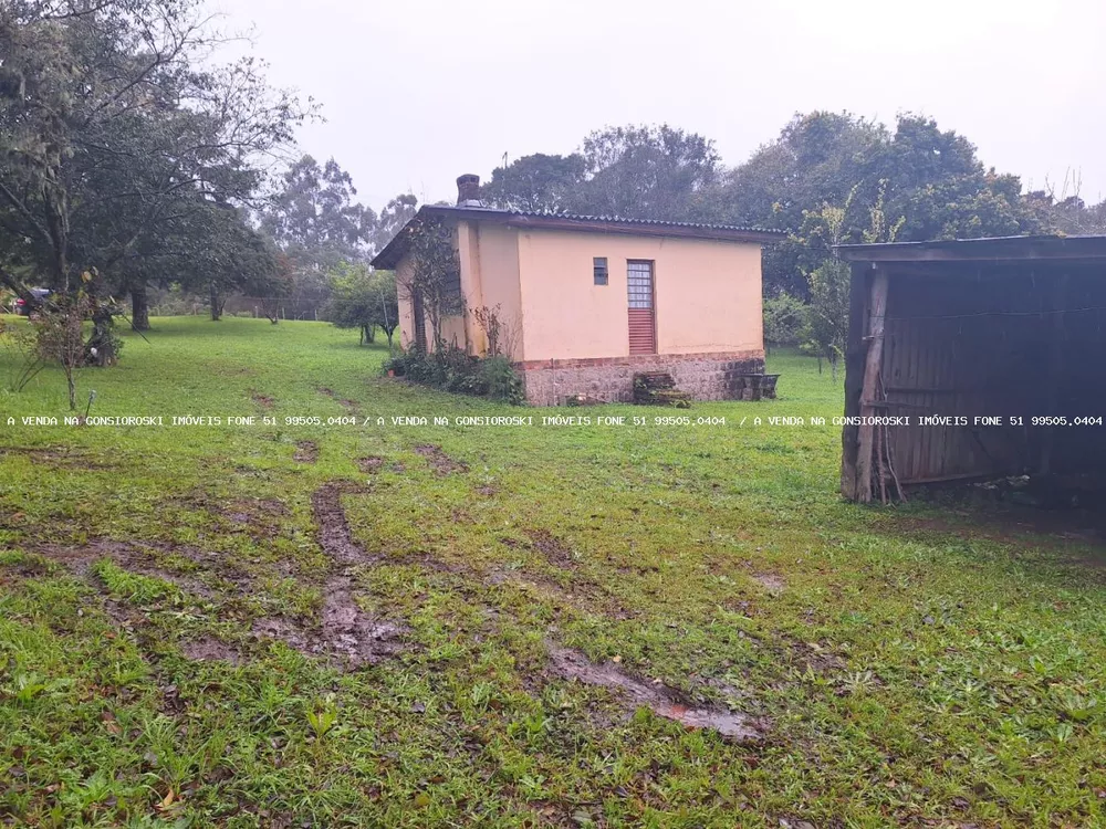 Fazenda à venda com 2 quartos, 141000m² - Foto 3