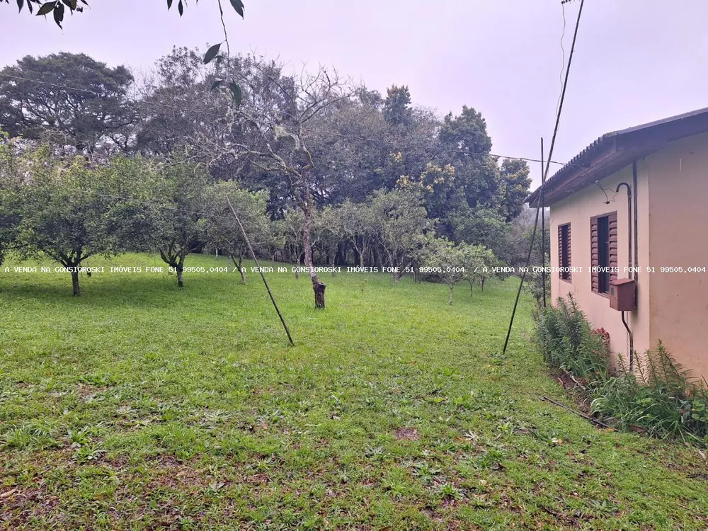 Fazenda à venda com 2 quartos, 141000m² - Foto 4