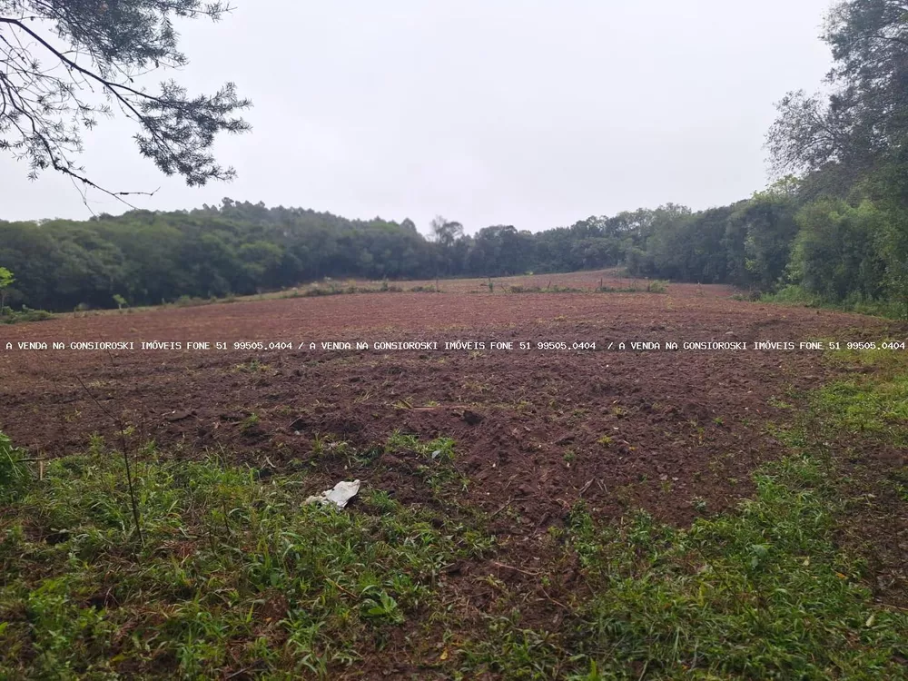 Fazenda à venda com 2 quartos, 141000m² - Foto 12