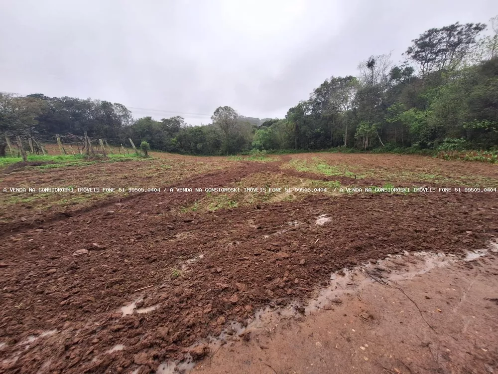 Fazenda à venda com 2 quartos, 141000m² - Foto 11