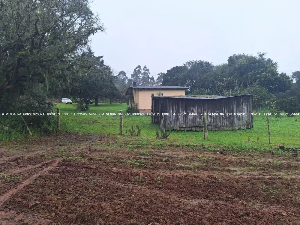 Fazenda à venda com 2 quartos, 141000m² - Foto 2