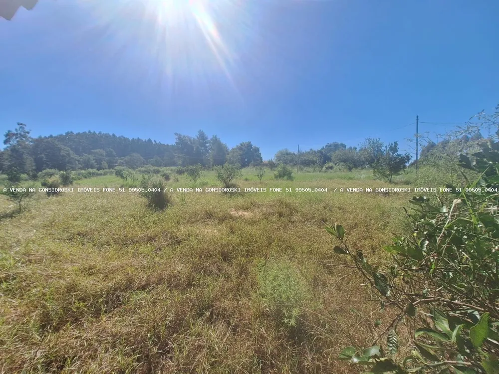 Sítio, 3 quartos, 4 hectares - Foto 4