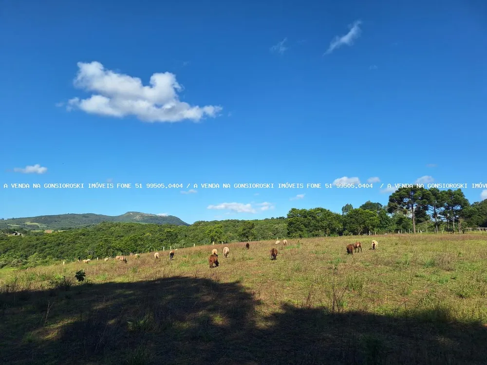 Loteamento e Condomínio, 3 hectares - Foto 6