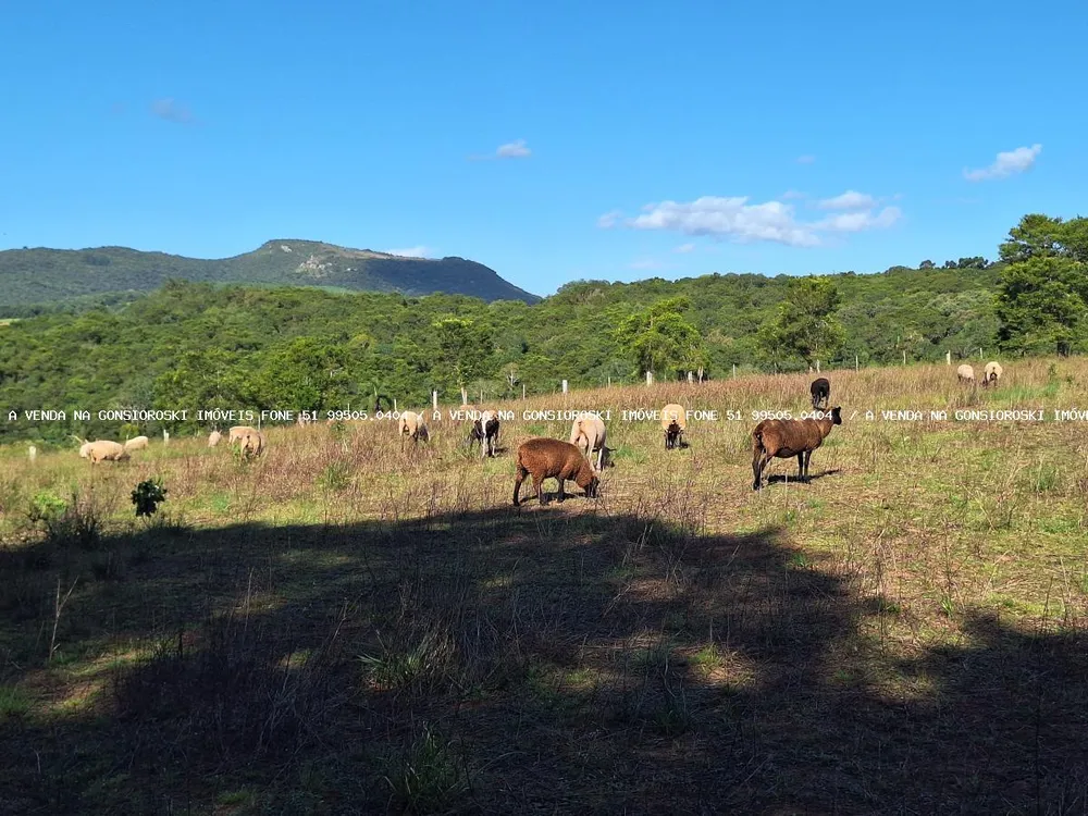 Loteamento e Condomínio, 3 hectares - Foto 1