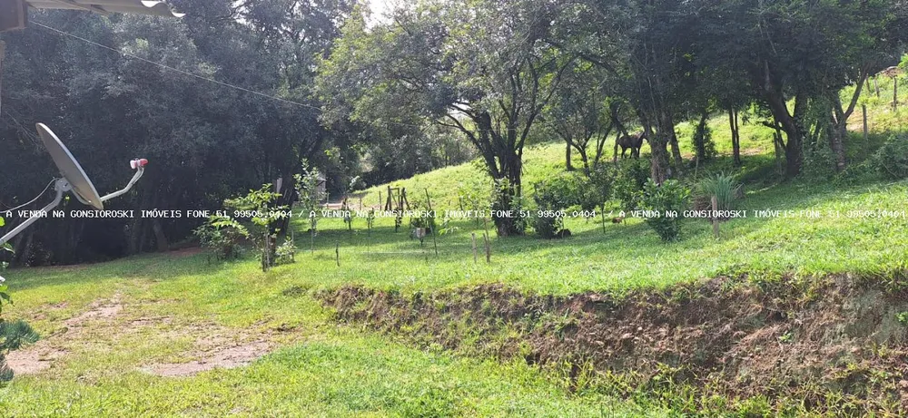Chácara, 2 quartos, 10000 m² - Foto 5