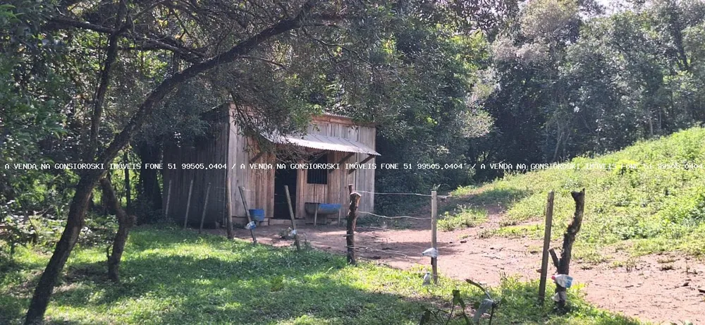 Chácara, 2 quartos, 10000 m² - Foto 1