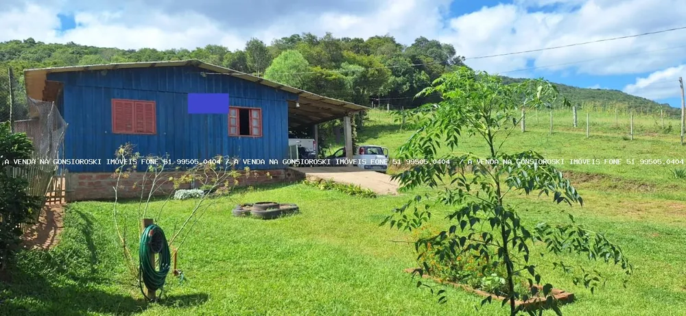 Chácara, 2 quartos, 10000 m² - Foto 6