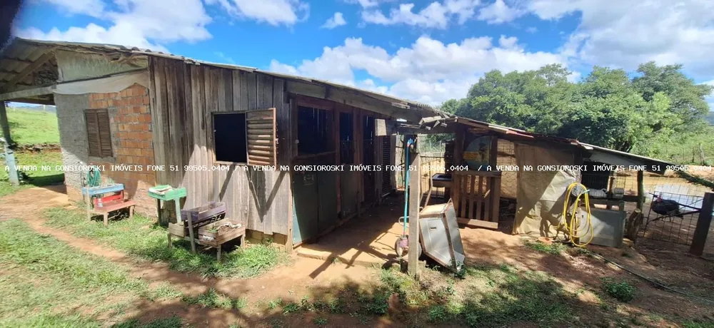 Chácara, 2 quartos, 10000 m² - Foto 7