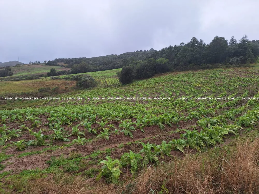 Loteamento e Condomínio à venda, 20000m² - Foto 2