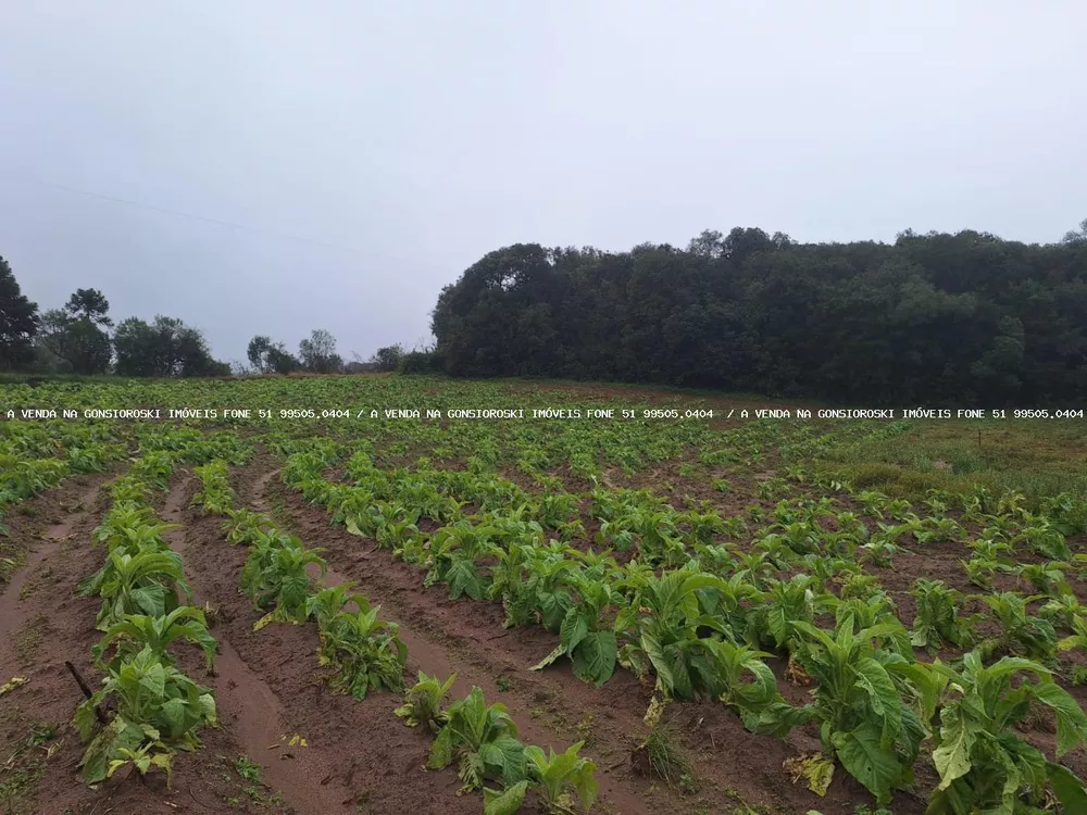 Loteamento e Condomínio à venda, 20000m² - Foto 6