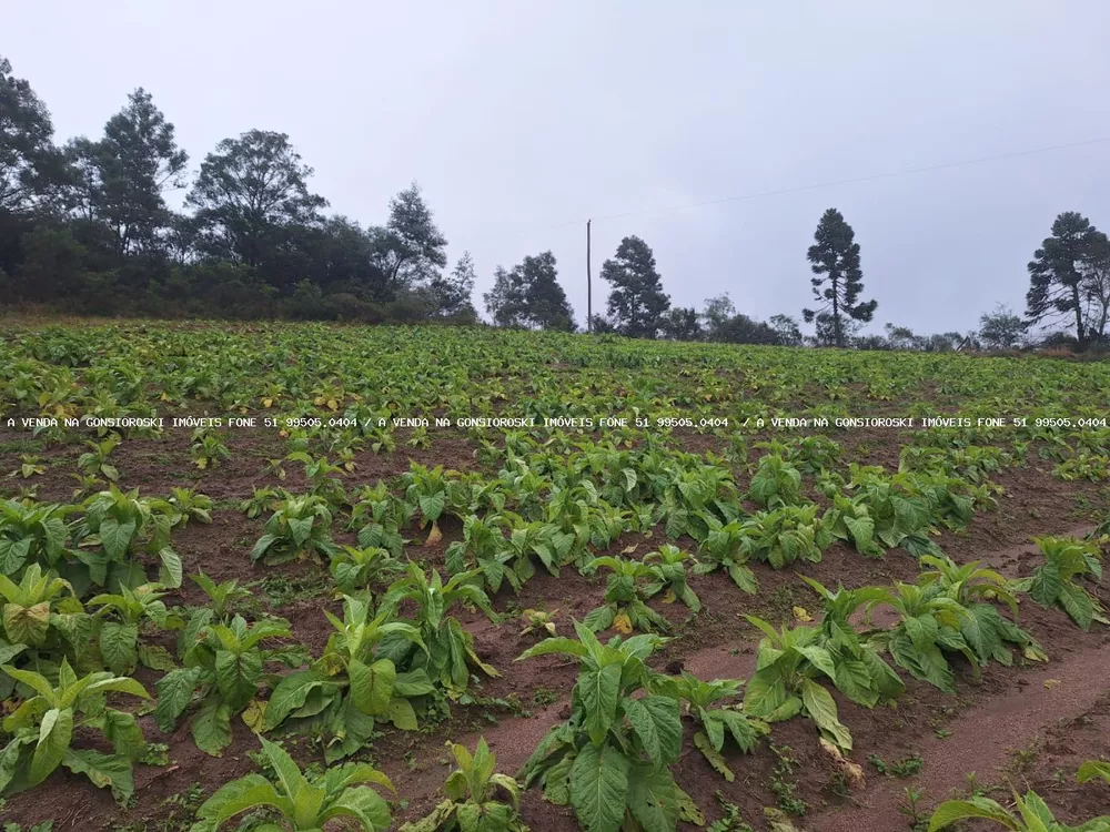 Loteamento e Condomínio à venda, 20000m² - Foto 5