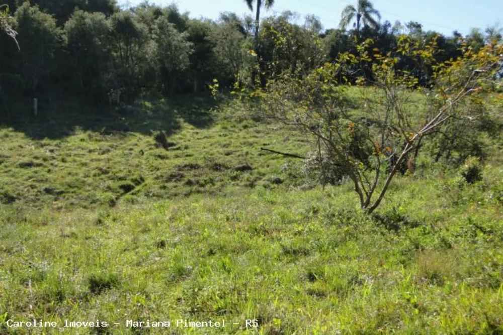 Loteamento e Condomínio, 44 hectares - Foto 3