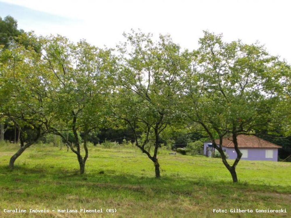 Chácara, 3 quartos, 2 hectares - Foto 10