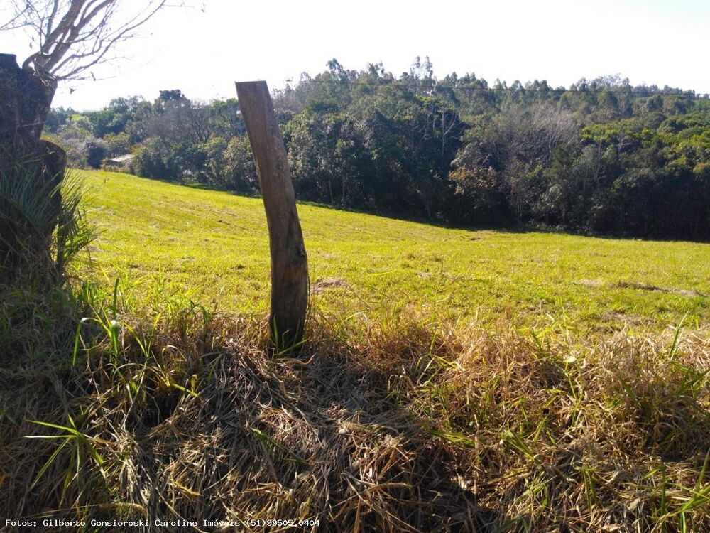 Chácara, 3 quartos, 2 hectares - Foto 14