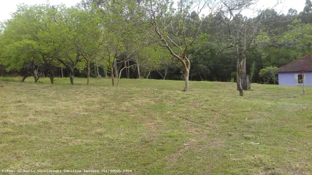 Chácara, 3 quartos, 2 hectares - Foto 13