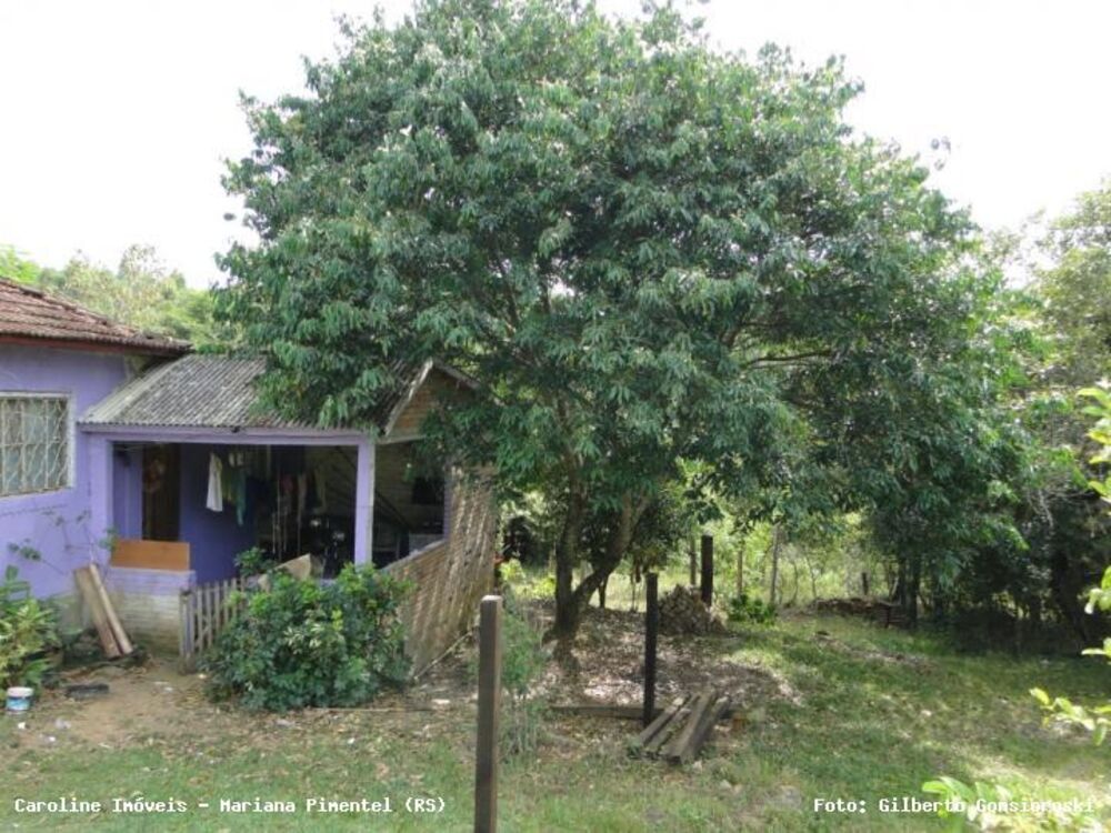 Chácara, 3 quartos, 2 hectares - Foto 3