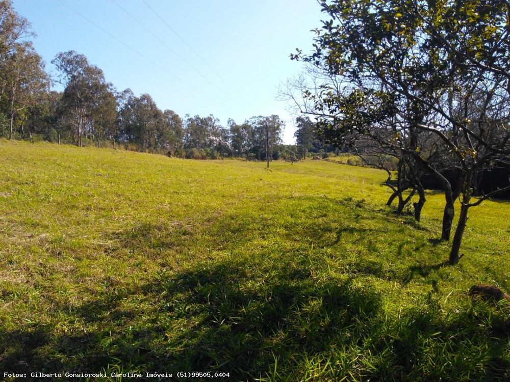 Chácara, 3 quartos, 2 hectares - Foto 12