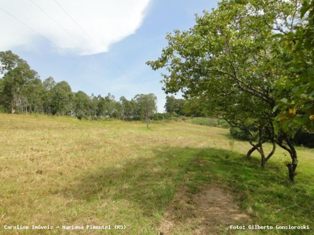 Chácara, 3 quartos, 2 hectares - Foto 11
