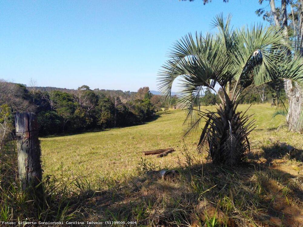 Chácara, 3 quartos, 2 hectares - Foto 16