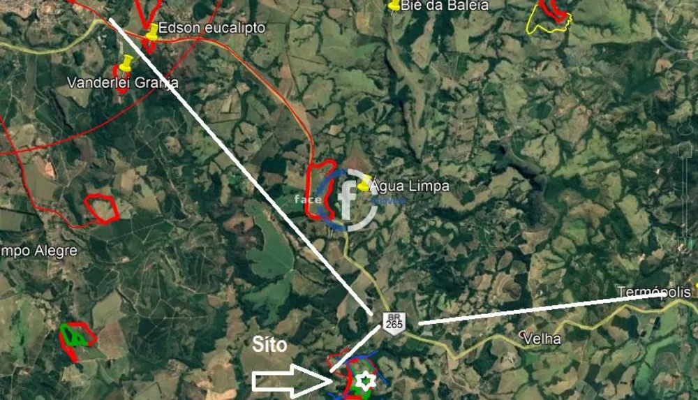 Sítio, 33 hectares - Foto 4