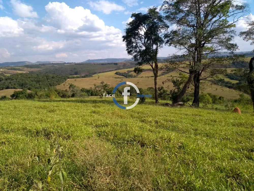 Sítio, 33 hectares - Foto 10