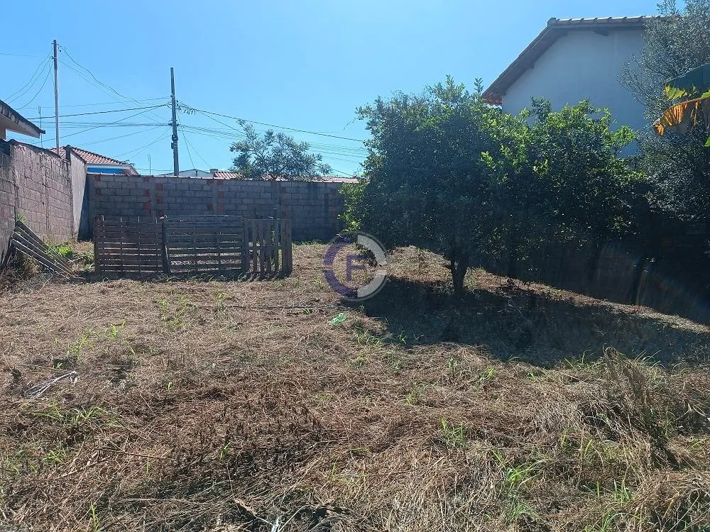 Terreno - Foto 4