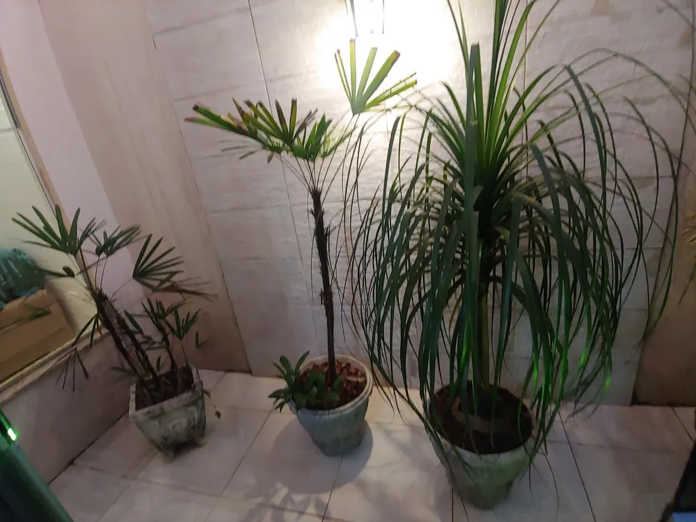 Casa, 2 quartos, 160 m² - Foto 15