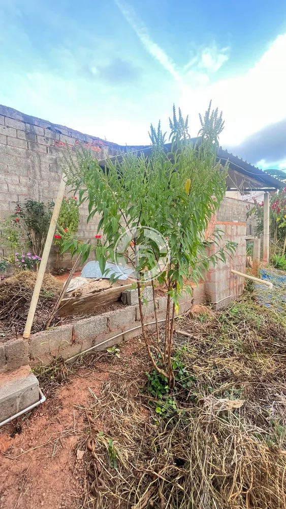 Terreno - Foto 4