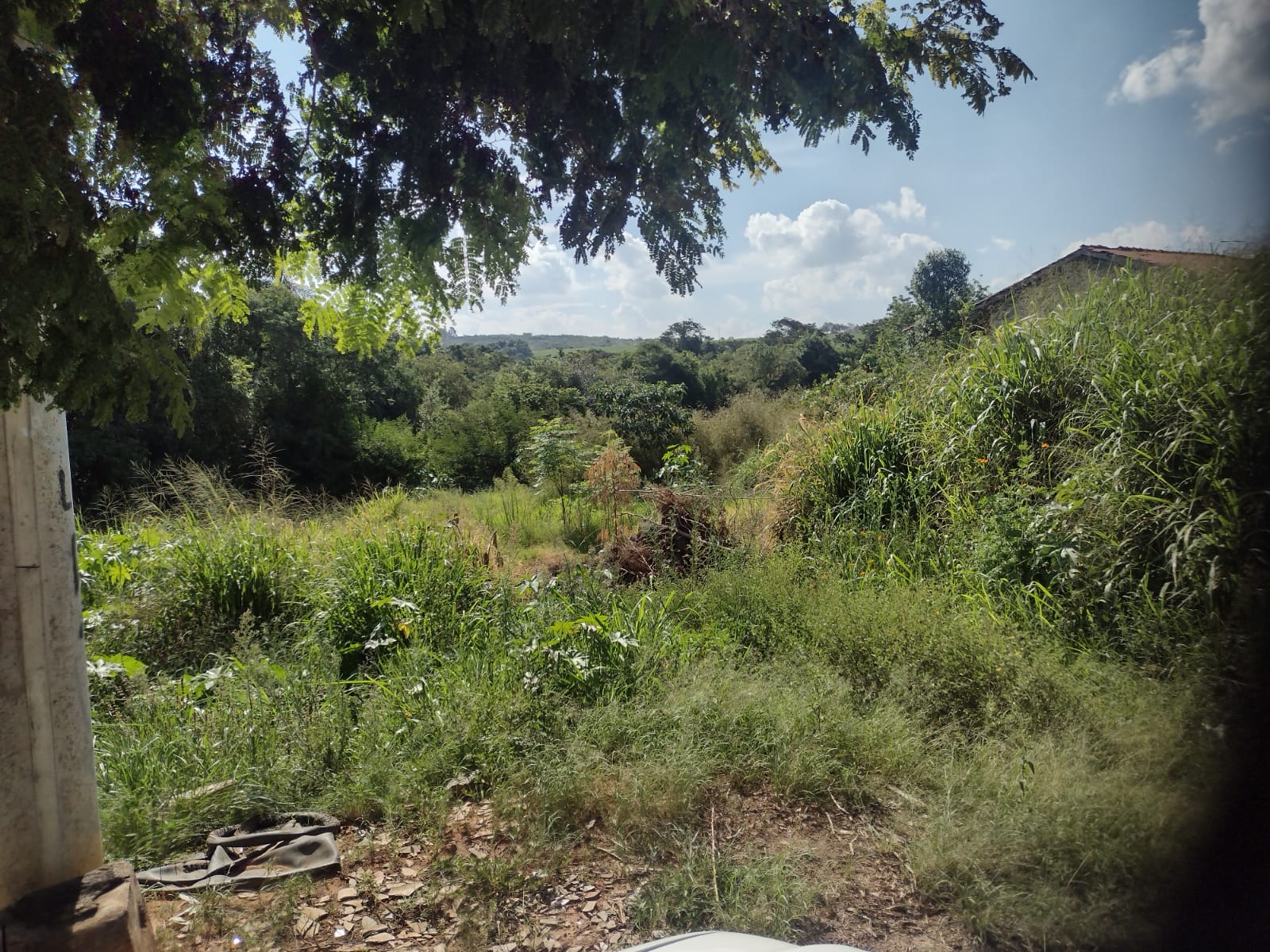 Terreno à venda, 2000m² - Foto 11