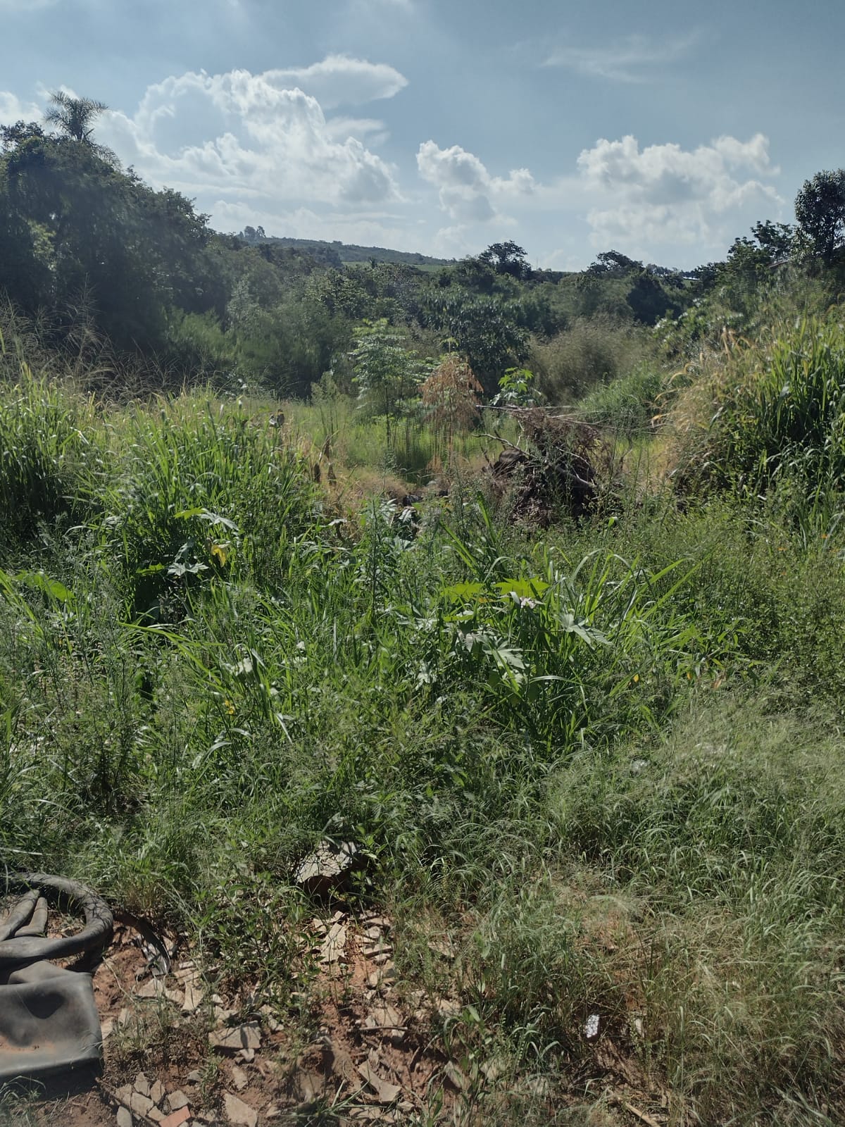 Terreno à venda, 2000m² - Foto 2