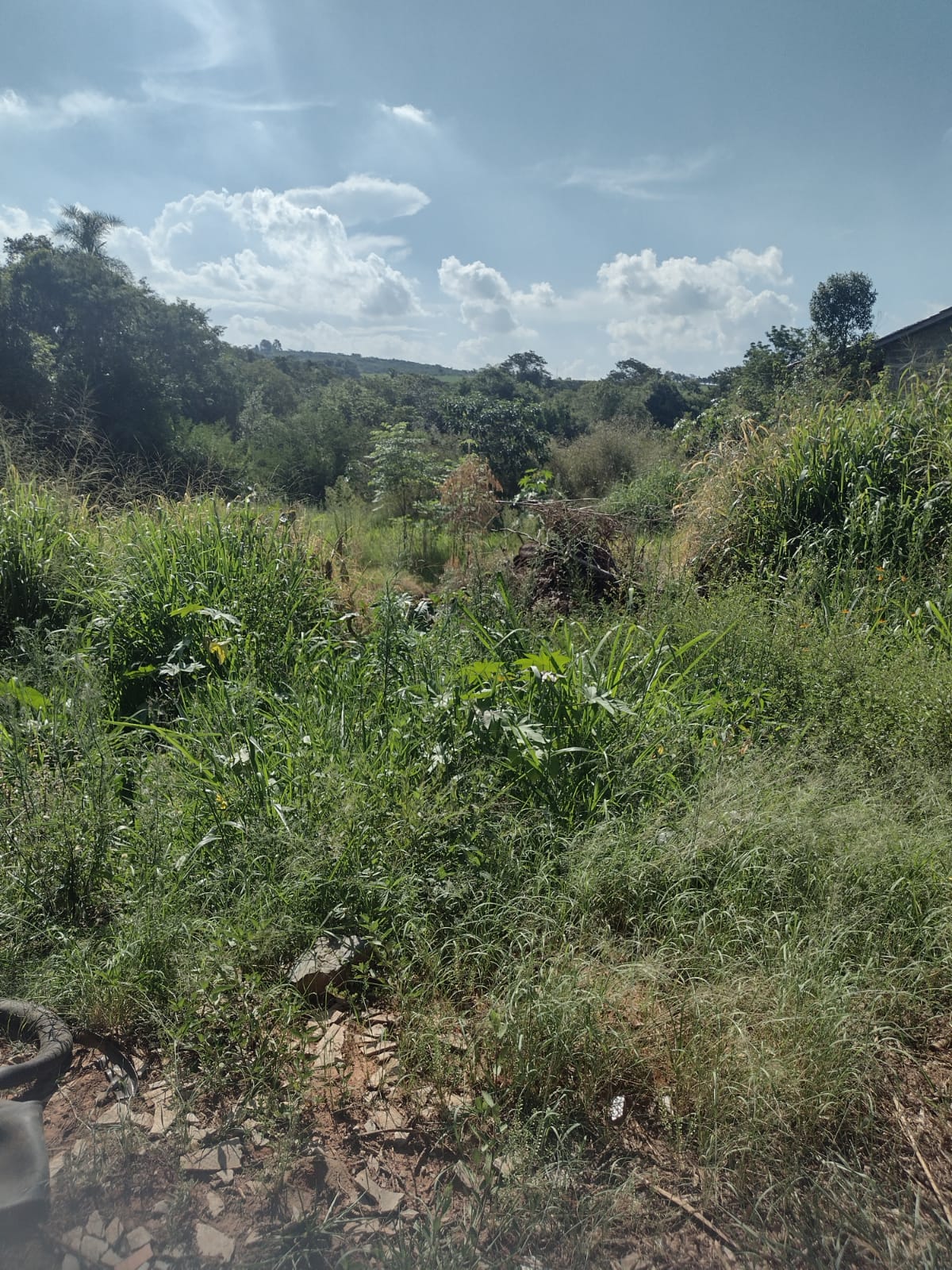 Terreno à venda, 2000m² - Foto 5