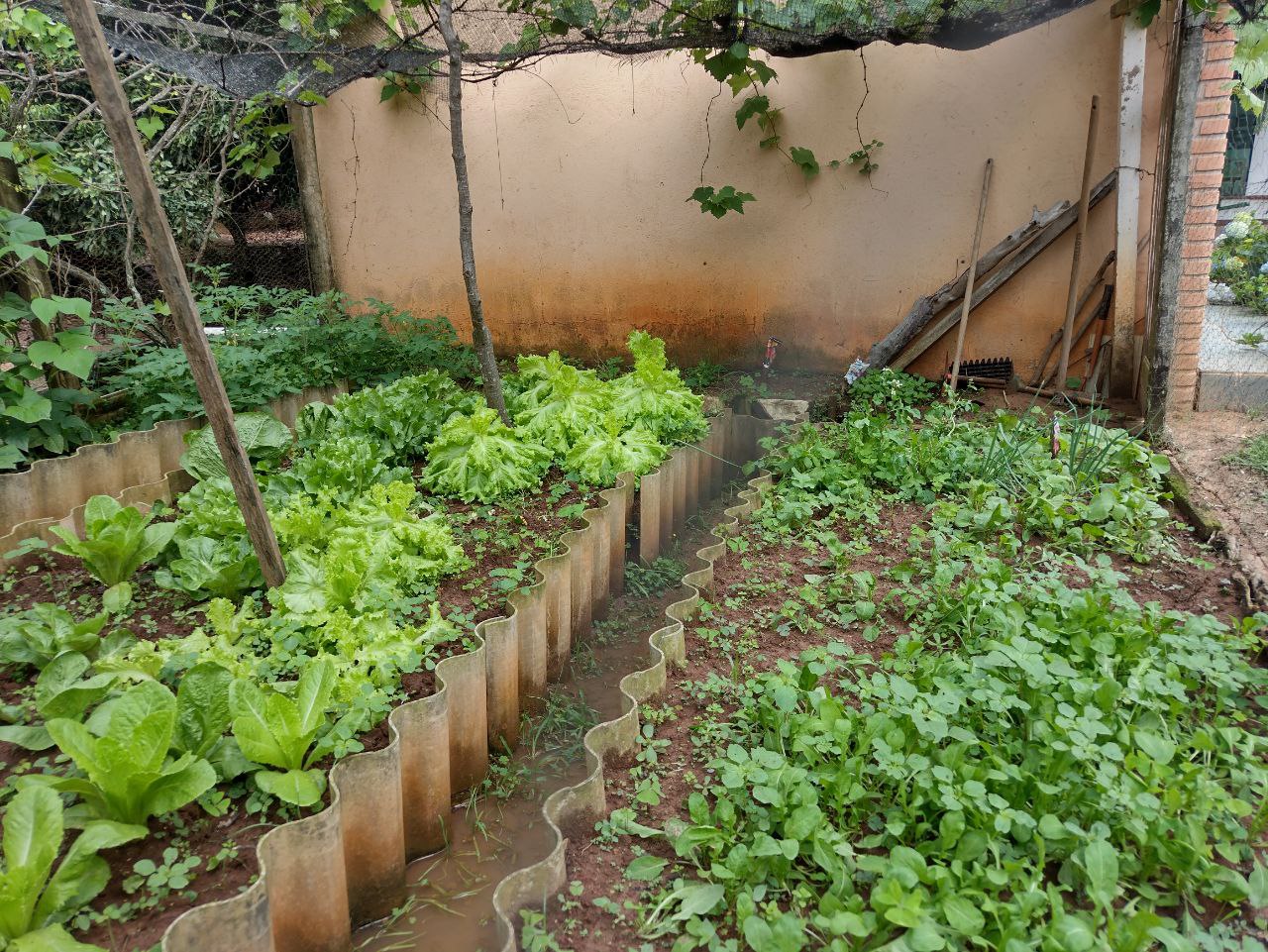 Chácara à venda com 4 quartos, 500m² - Foto 7