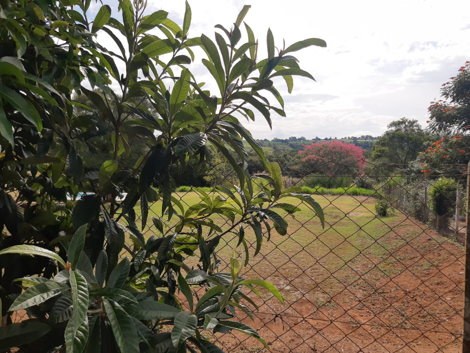 Terreno à venda, 2100m² - Foto 1