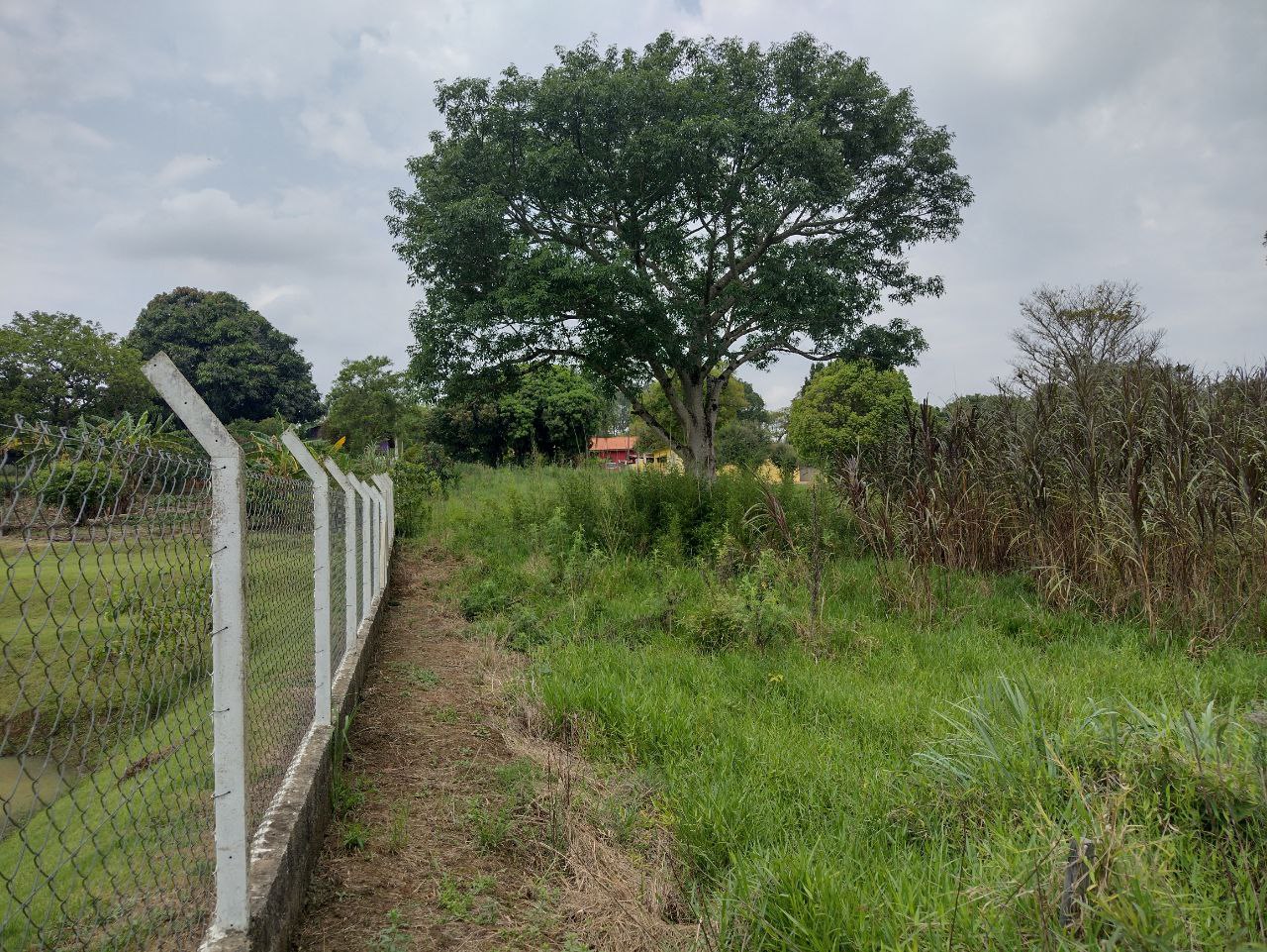 Terreno à venda, 2100m² - Foto 3